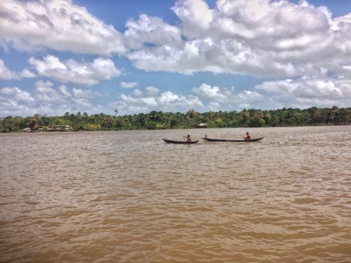 theeyeoftroy:The Orinoco River. Venezuela, Photograph by D.G. Copyright 2016 Troy De Chi. All rights