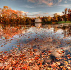 morethanphotography:  Царское село.