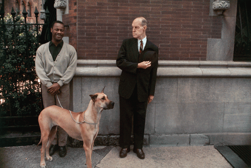 Porn photo   Joel Meyerowitz, “New York City”, 1963