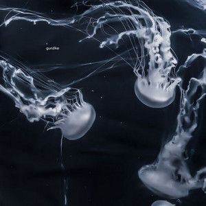 Can You Feel It Inside Your Bones?