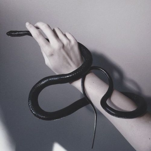 spookyloop:  By @nonalimmenphotography