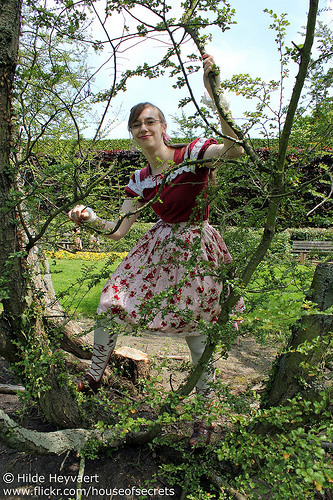 Lora in a tree.
Read more about this meet here.