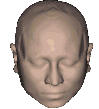fruitsoftheweb:“Animation of multiple structures in the human head, using a registration of CT and M