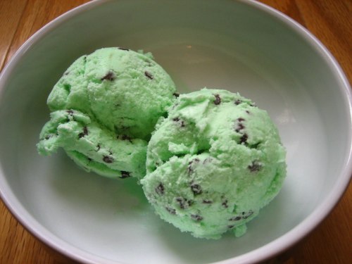 everybody-loves-to-eat:  mint chocolate chip ice cream