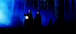 megumis-fushiguro:  It was the difference between being dragged into the arena to