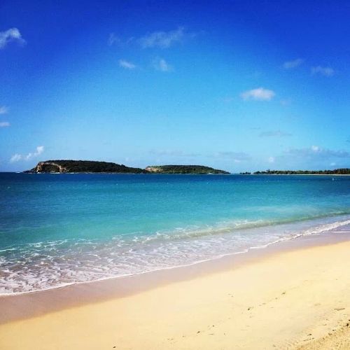 bountybeaches:  Vieques, Puerto Rico