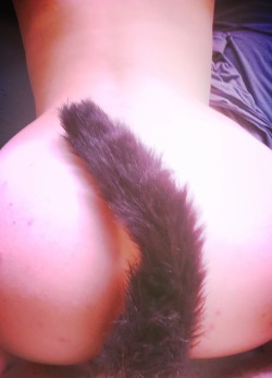 The-Kinky-Kitty:  The-Kinky-Kitty:  Play Time With My Tail. ❤❤❤  ~Kinkykitty