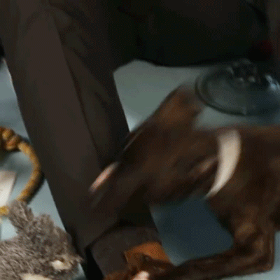 pajamasecrets: Keanu Reeves playing with puppies!