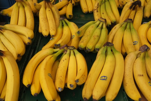 ratz4fatz:  yellow fruits 
