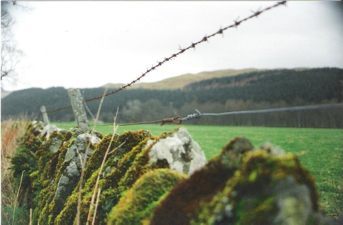 englishsnow:  Scotland by Samantha Nason 