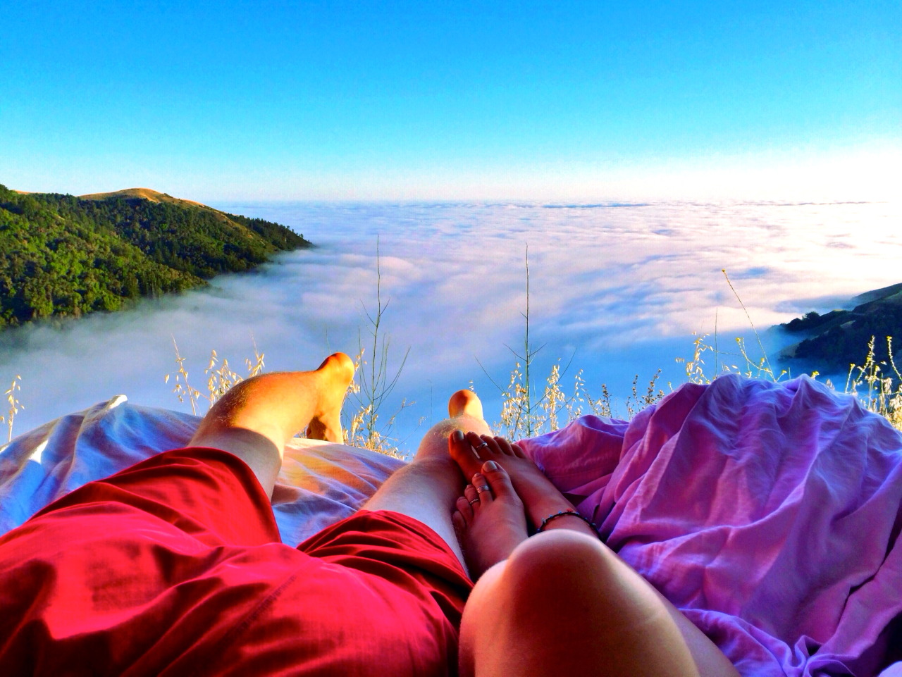 surya-bhakti:  laughing-trees:  mooonkid:  on cloud 9 with the love of my life, or