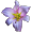Porn photo lavender-lily: