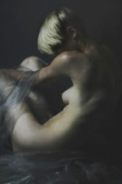 &ldquo;In This Twilight&rdquo; series by Josephine Cardin - found in a multiple set