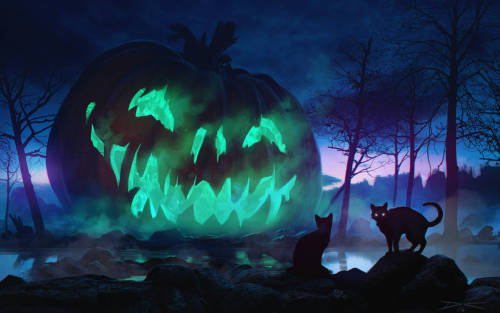 madcat-world:  Giant Pumpkin - arcipello