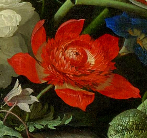 clara–lux:MIGNON, Abraham (1640–1679) Flower still life with cat etc., detailscirca 1670Oil on