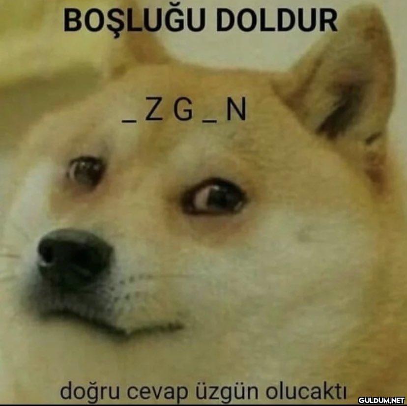 BOŞLUĞU DOLDUR _ZG_N doğru...