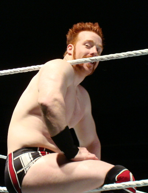 gingermilkytea:  themastersofwar:  gingermilkytea:  Sheamus has the best thighs in the wwe  actually     sheamus has the second best thighs sorry  i dunno man, Randy’s thighs are a bit too muscly for my tastes if you know what i mean. Sheamus has the