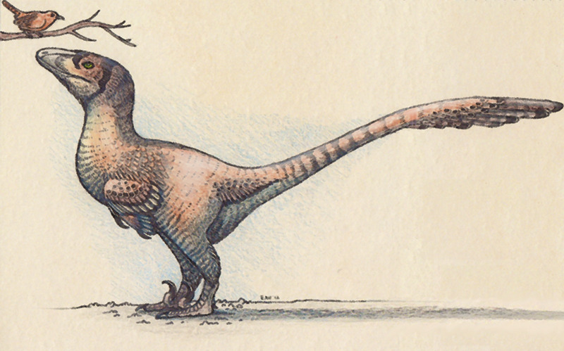 Deinonychus, Wiki