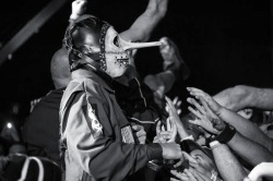 CHRIS FEHN