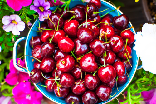 Olenko’s Raw Vegan Cherry-Strawberry Popsicles I love cherries and strawberries, nothing bette