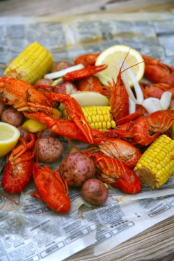 basilgenovese:  Crawfish Boil 