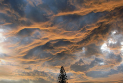 nubbsgalore:  known informally as asperatus clouds, this atmospheric phenomenon gets its name from the latin aspero, which roman poets used to describe the sea as it was roughened by the cold north wind.  though the cause of their formation remains unknow