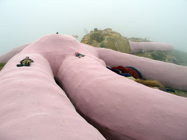 notentirelymediocre:  wtf-fun-factss:  Group of artists create a giant 200 ft bunny