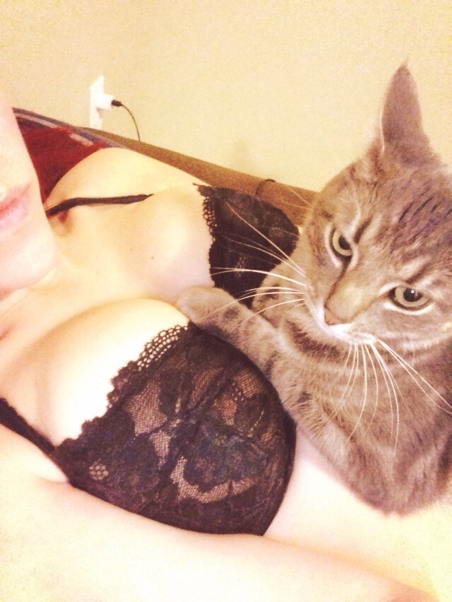 hopeless37: Meet Leo. Ruler and protector of my boobs. 🐱 