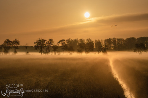 After sunrise in the Betuwe by angesvdlogt