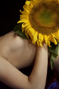 brookelynne:  sunflower | self-portraits