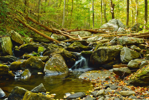 Exploring off of Mountaindale Road, October 2013