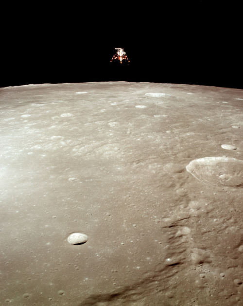 humanoidhistory:The Apollo 12 lunar module “Intrepid” in a landing configuration over the surface of