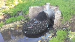 webofgoodnews:  Drainage nets capture garbage in Australian City The City of Kwinana has hailed the trial of two new drainage nets a success as it continues its journey towards less waste and increased sustainability. The nets were installed at two Henley