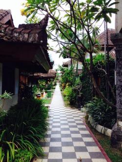 significunts:bali is so beautiful 