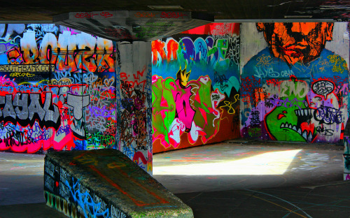 barefoot-travellers:  myworldview-photography: “Save Southbank Skatepark” London - England By James
