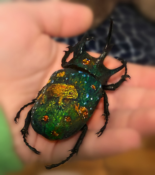 yohma-x: ink-the-artist: “The Lady Enjoys Some Alone Time“ oil painting on a rhinoceros beetle I’ll 