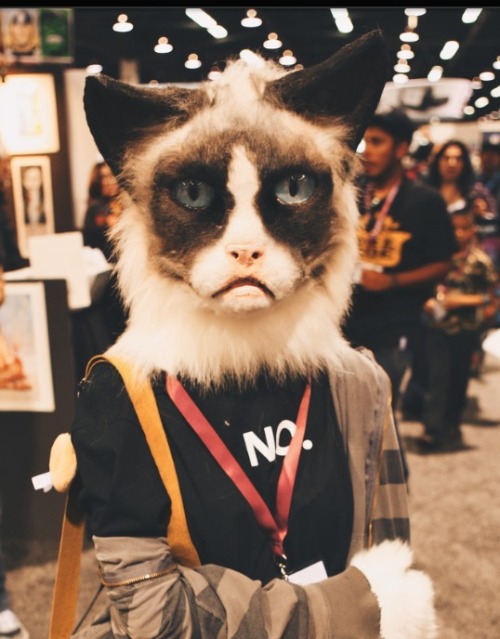 Grumpy Cat Cosplay - WonderCon Anaheim (by Lantern Waste)