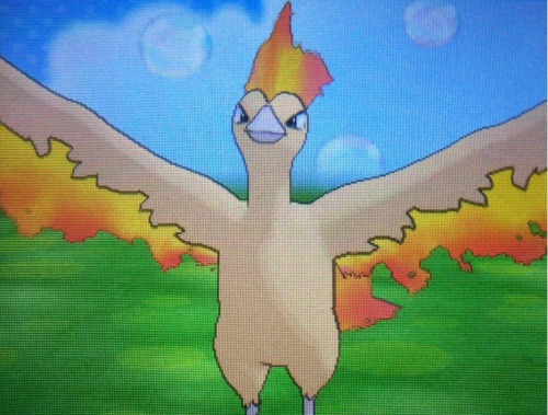 i caught the kfc