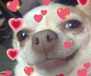 softwaring: mood