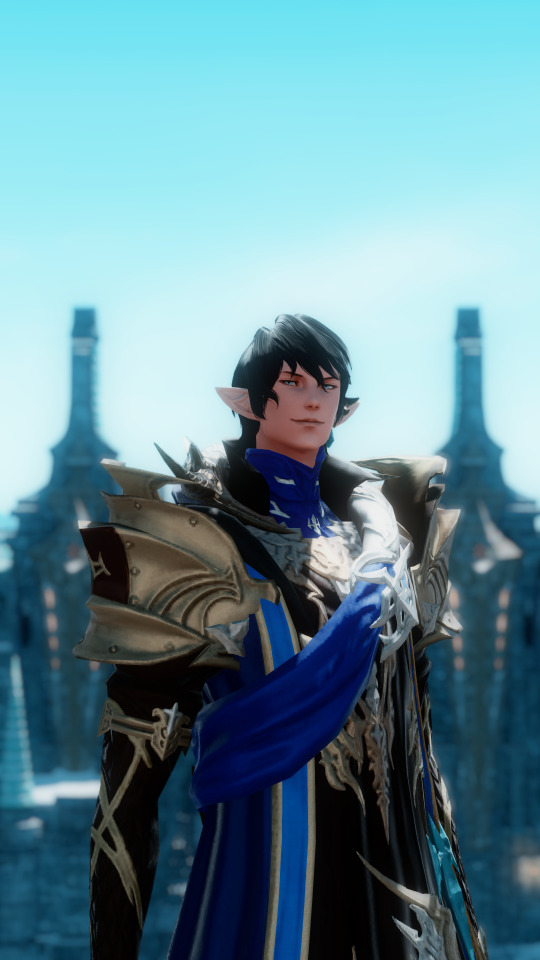 Lord Commander, Ser Aymeric De Borel.