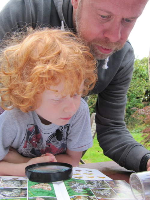 MOTHIFY PROJECT 2016 Woodcraft Group, Berkshire, September 24th Post 4 of 6
A lot of enjoyment identifying the moths was going on. you can see how much the adults enjoyed it too. The thing is that most people don’t get to see moths yet we have 2,500...