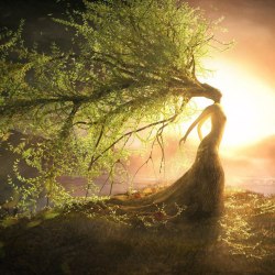 Noriezul:  Woman Tree 