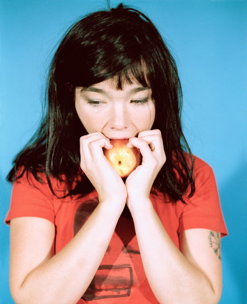bjorkfr: Björk par Joseph Cultice (1994)nouvelle photo