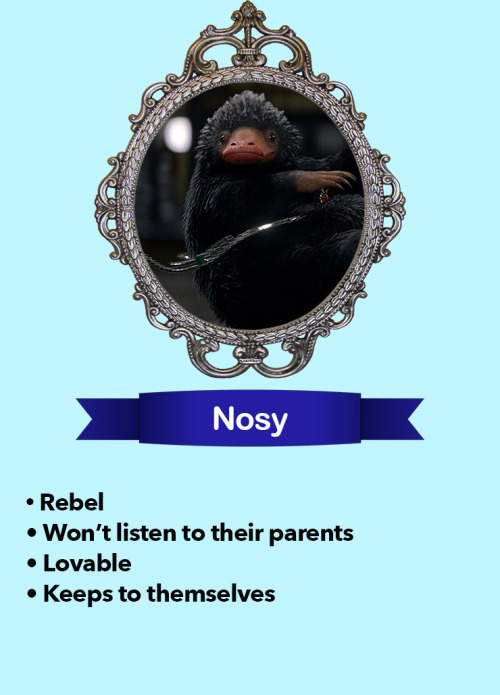 youhaveyourmotherseyes: Fantastic Beasts and Where to Find them Tag Yourself - Which one are yo