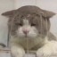 kur0tuated