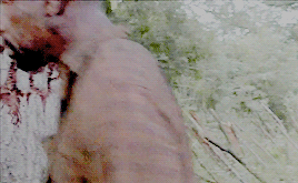 nicolebxharie:  But they could heal. Some more some less, but they can. We all can.