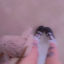 daughterdiaries
