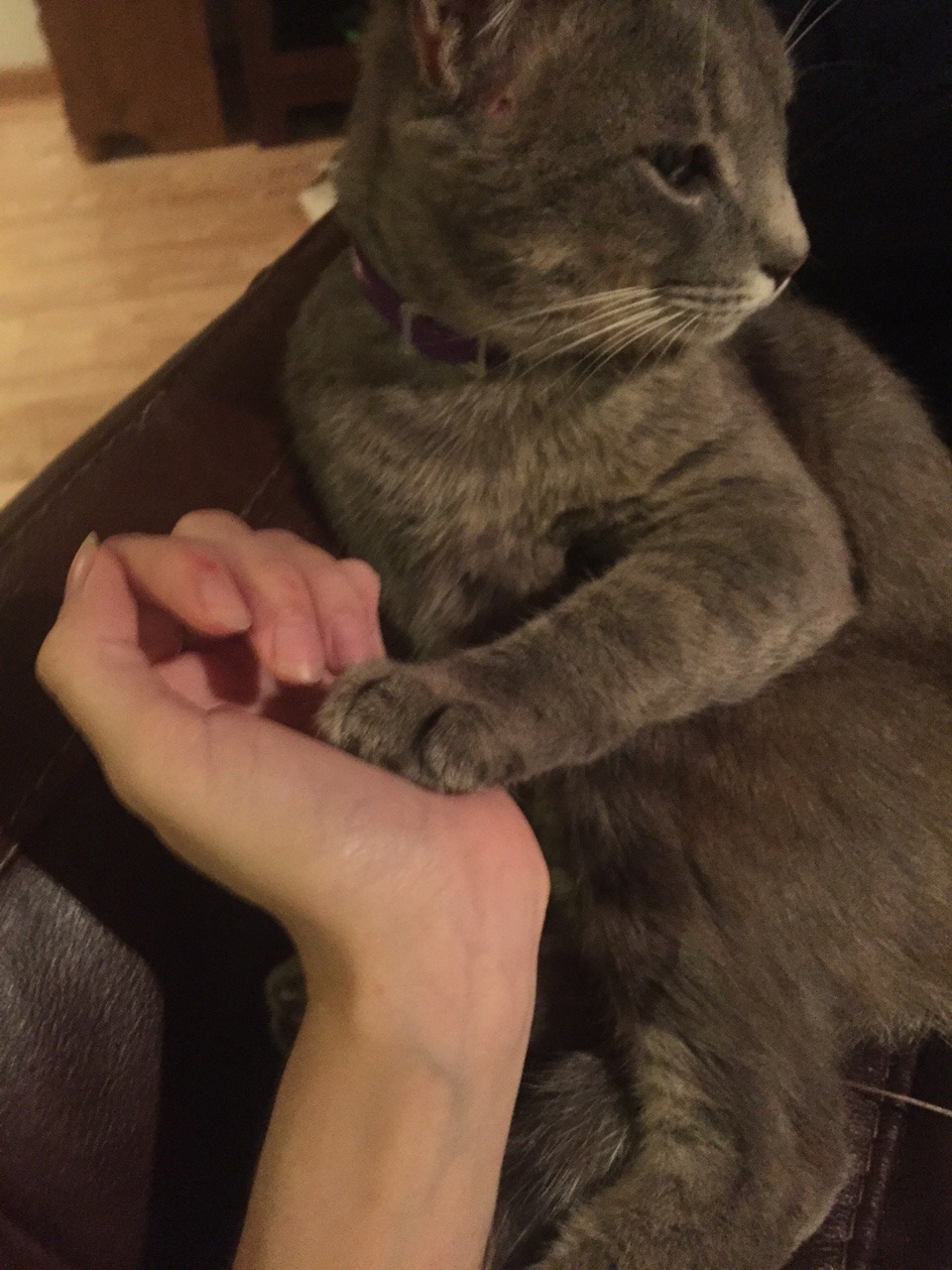 Samson like to hold &ldquo;hands.&rdquo;