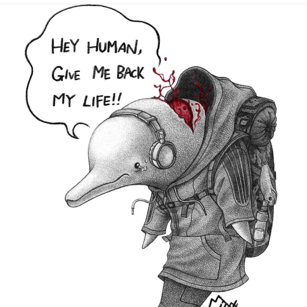 haladeliyim:  Stop Animal Cruelty!  (via Instagram - Artist Unknown) 