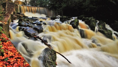 Crumlin Glen Waterfall pouring like a river of Guinness in Autumn (every Irishman&rsquo;s wish!).The